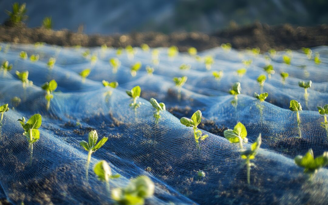 Maximizing Agricultural Success with Versatile Netting Solutions