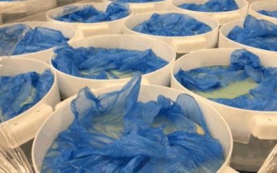 Advanced Netting Solutions in Food Processing