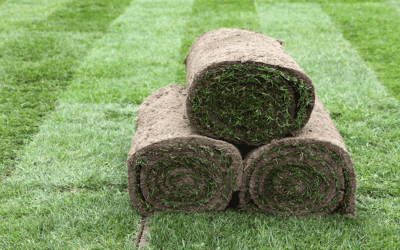 Durable Sod & Turf Netting for Grass Stabilization | Conwed