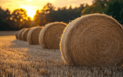Efficient and Reliable Hay Bale Netting