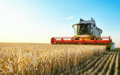 Prepare for the upcoming harvest season- Customized netting solutions for agriculture