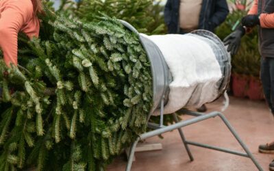 Christmas Tree Netting