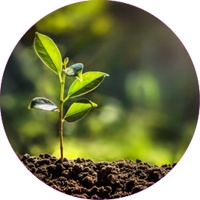 Naltex™ Net for Smokehouses