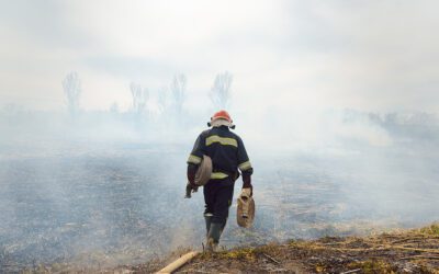 Conwed™ Wattle Netting & Socks for Wildfire Erosion Control