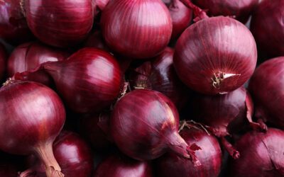 Everything You Need to Know About Tubular Netting for Onion Packaging