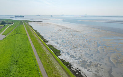Channel & Shoreline Protection: Permanent Mats Reinforcing Nature’s Armor