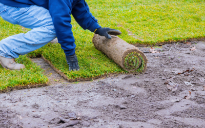 How Sod Netting Accelerates Turf Production and Installation