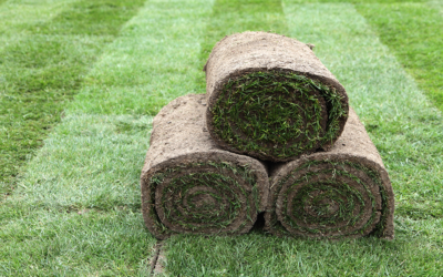 Turf Netting Secures Slopes & Infrastructure Projects